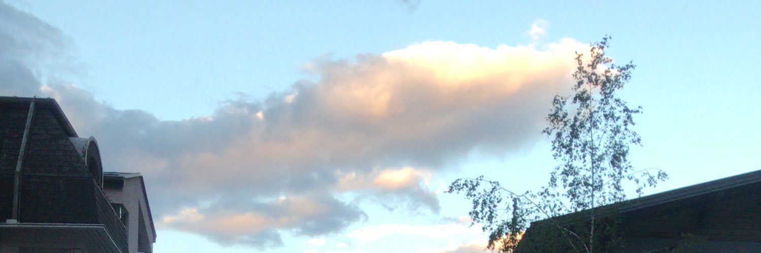 al otaiby banner