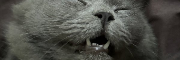 soyoulikeart Profile Banner
