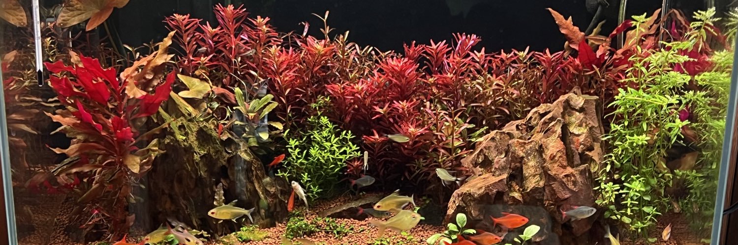 アンビシャス banner