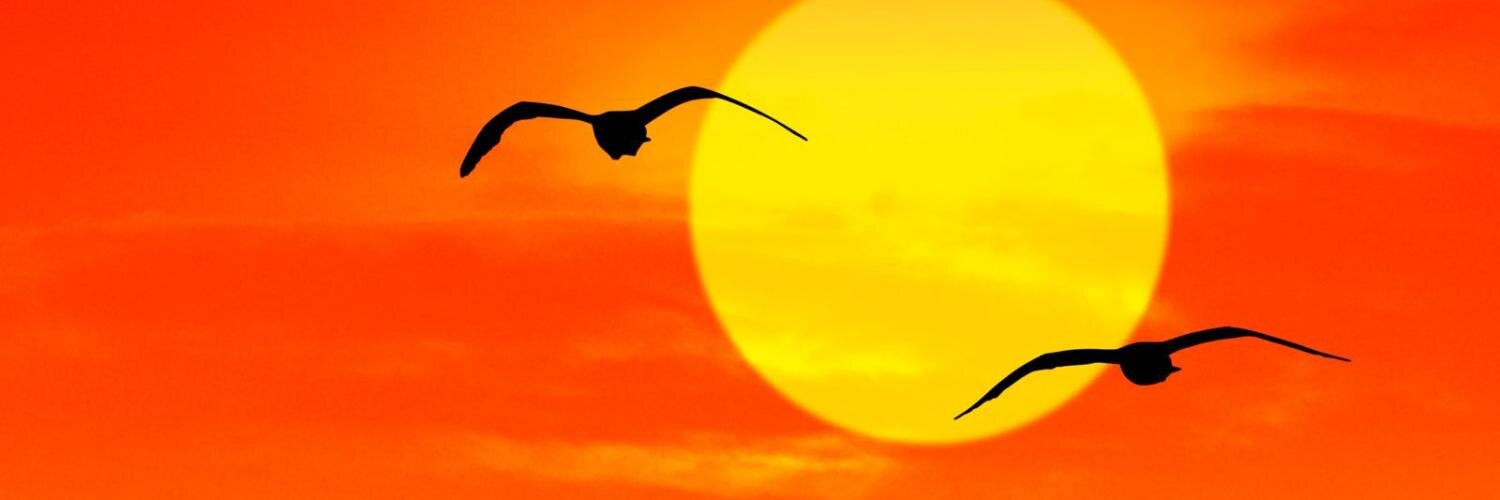 albertfong98's profile banner image