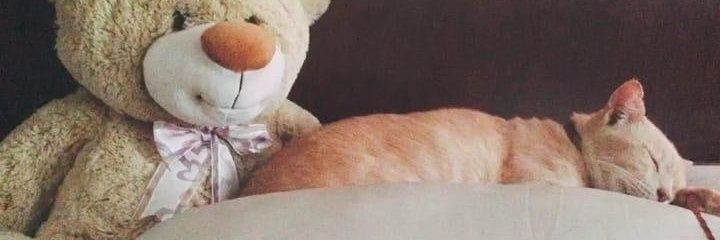 NabilahAnafi's profile banner image