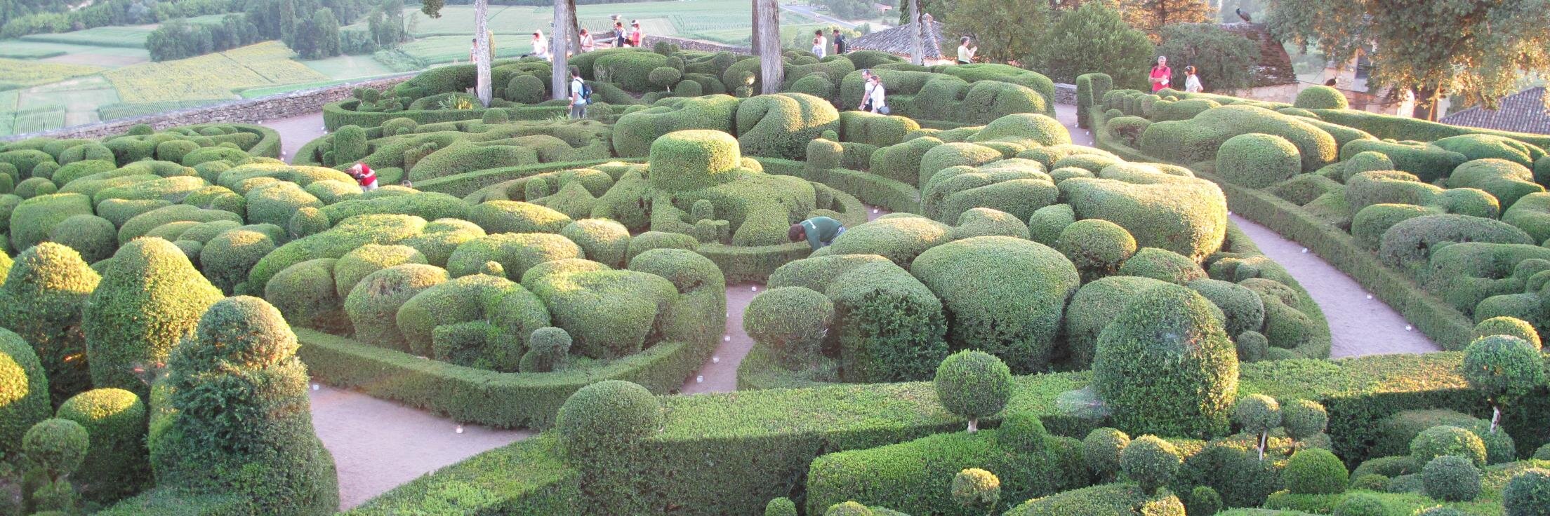 Landscape Juice banner