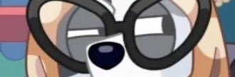 msmadifuller's profile banner image
