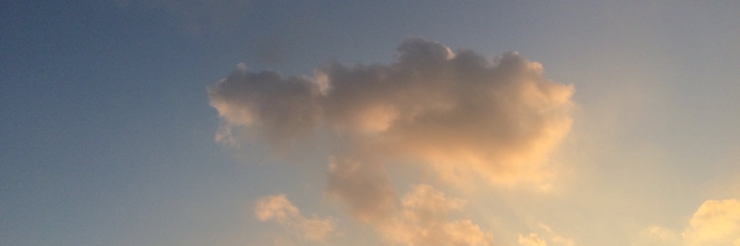 lululuftig's profile banner image