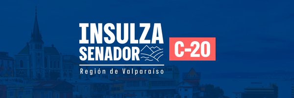 Insulza Profile Banner