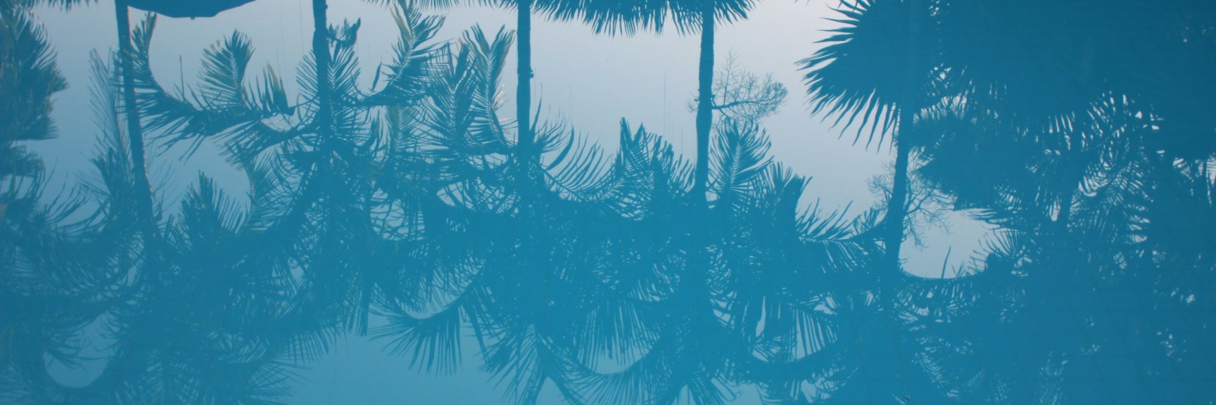 anthonysfla's profile banner image