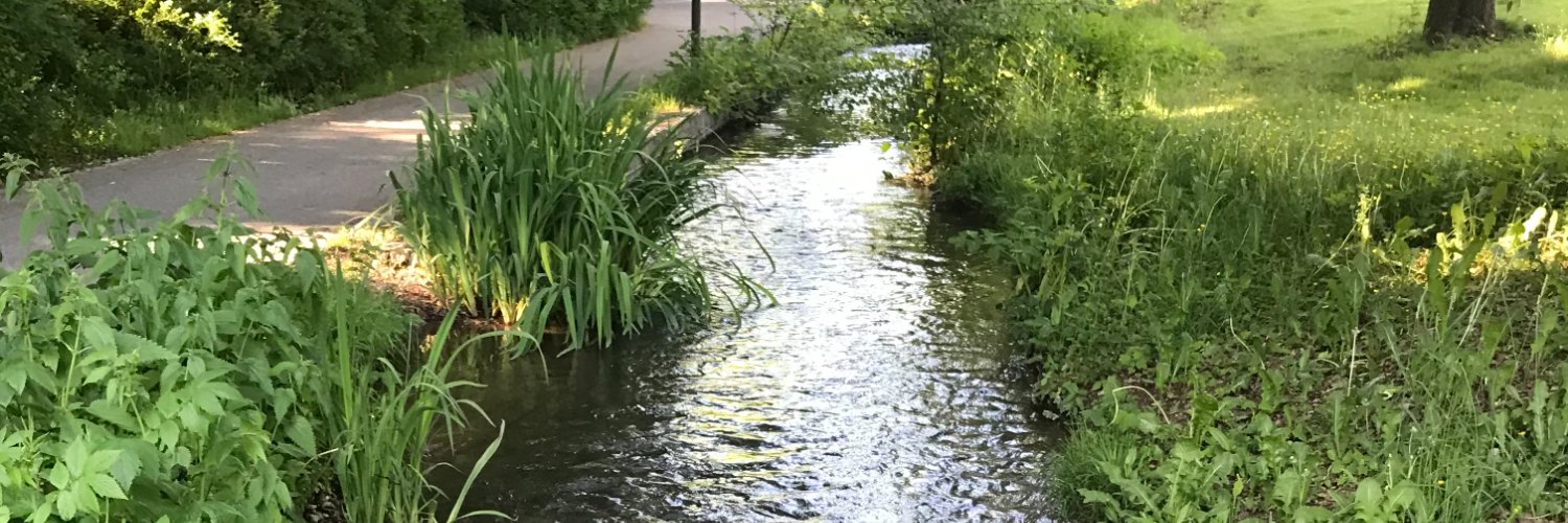 moni004's profile banner image