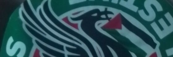 Didicois's profile banner image