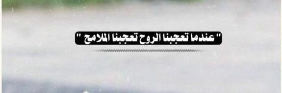 ماجد الرآقي banner