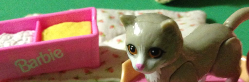 🌻 miss exit bees🪱🌻 banner