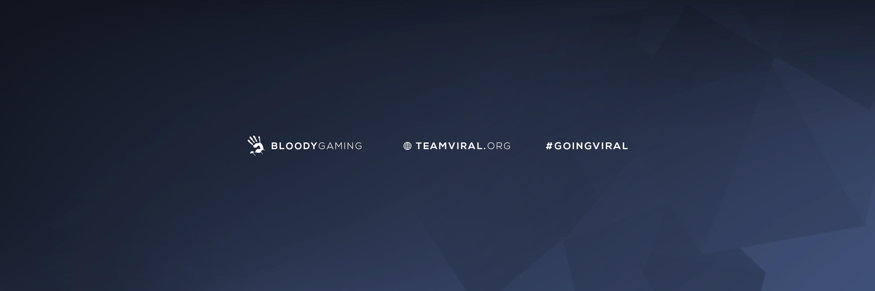 TeamViral banner