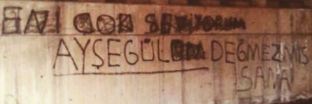 aysegule's profile banner image