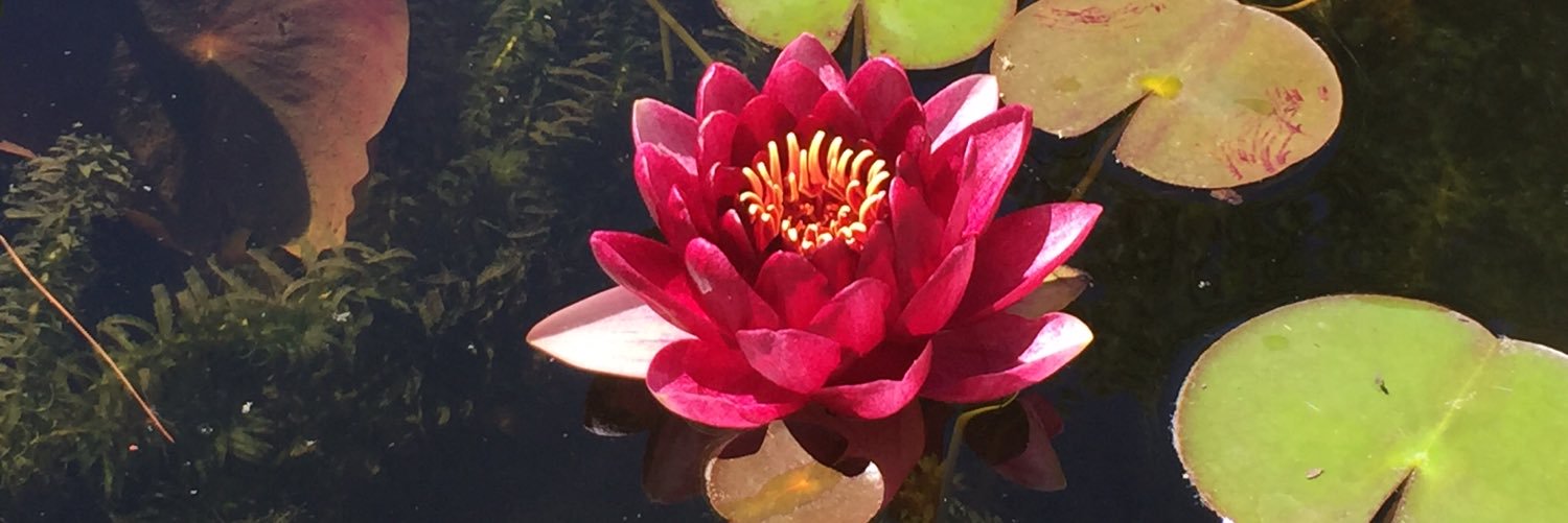 annette_b23's profile banner image