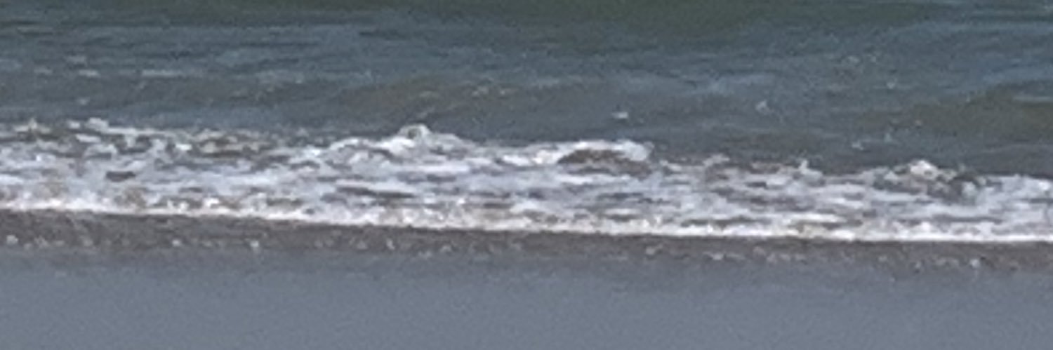 MarkMcConnell10's profile banner image