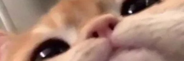 crlapa Profile Banner