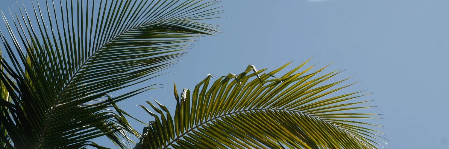 eculcire's profile banner image