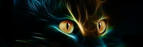 Guevesa1's profile banner image