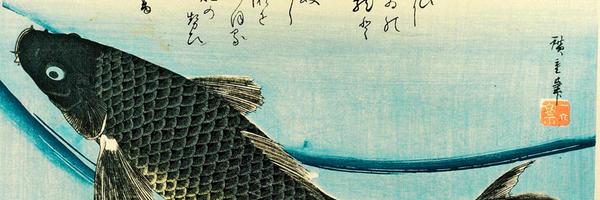 80g Profile Banner