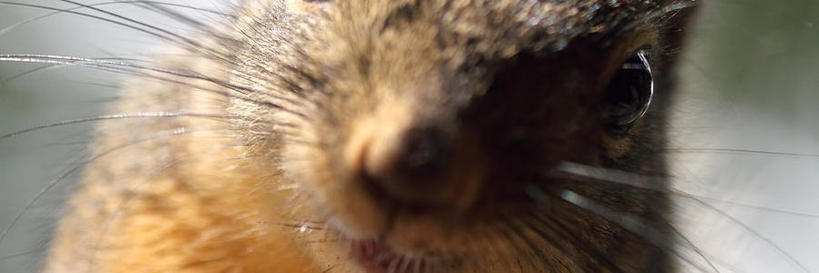 cassanette's profile banner image