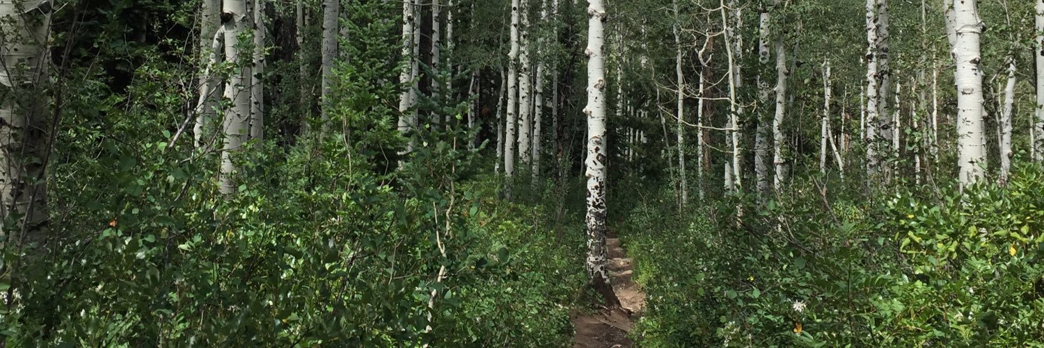 bvrunner99's profile banner image