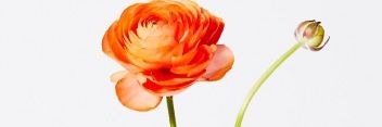 yoonaa64's profile banner image