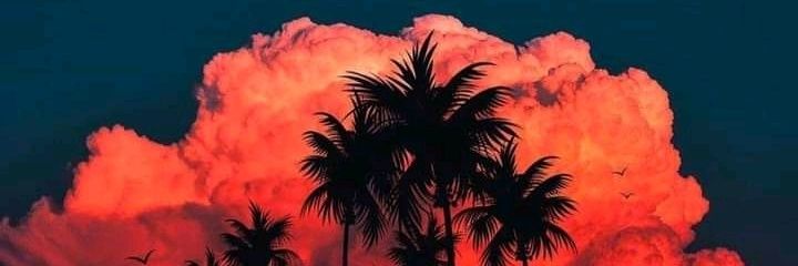 R33LO_G's profile banner image