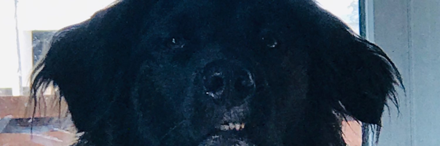 Chance94Cook's profile banner image