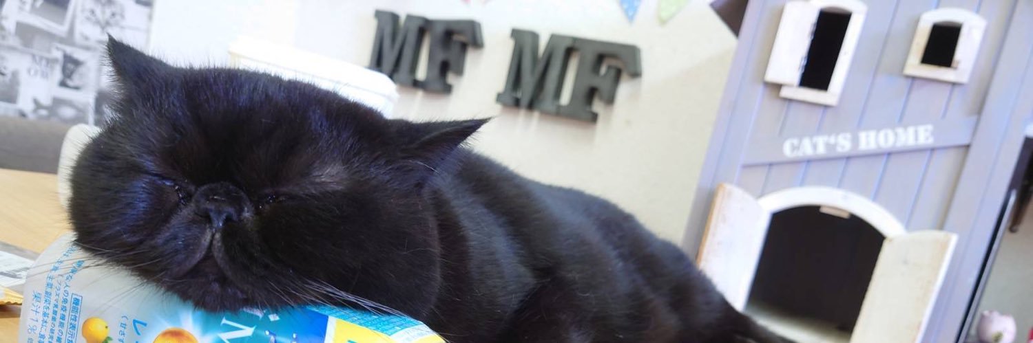 猫カフェmfmf/横浜駅 banner