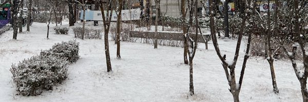 ajummabakorea Profile Banner