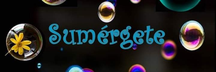 Sumergete_ONG's profile banner image