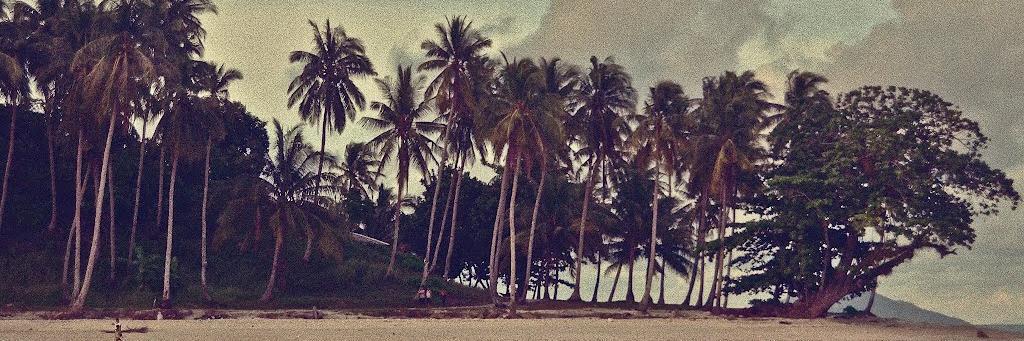jamesmac's profile banner image