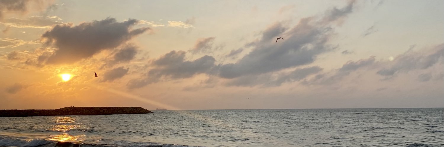 daniela_vargasA's profile banner image