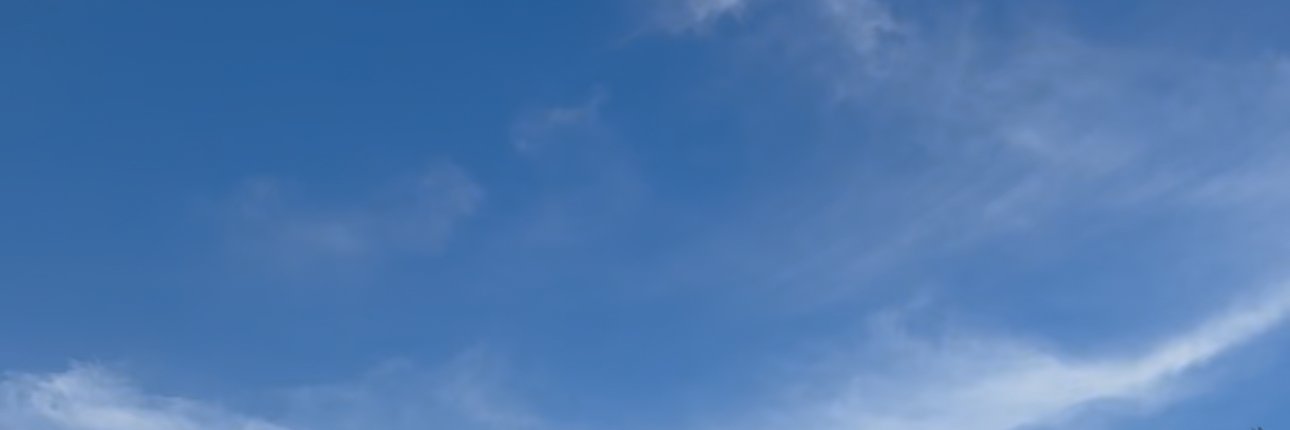 Rachel Daphne Turner banner