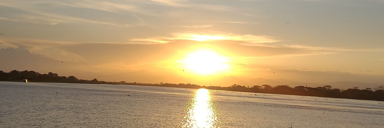 BarreraWilson's profile banner image