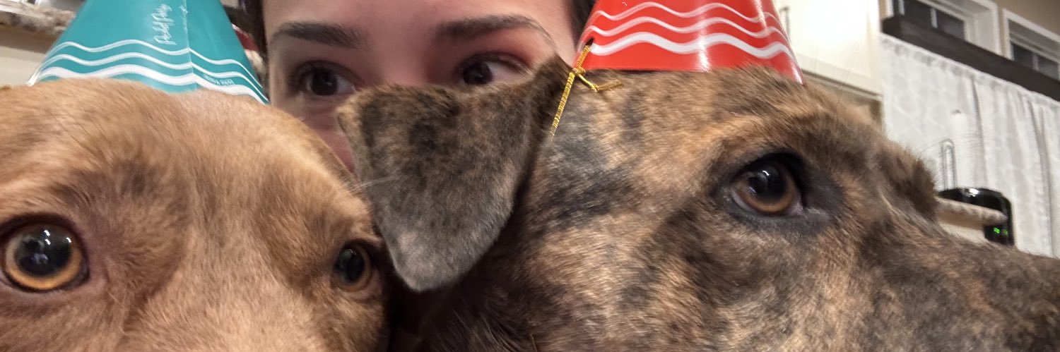 aabigailerma's profile banner image