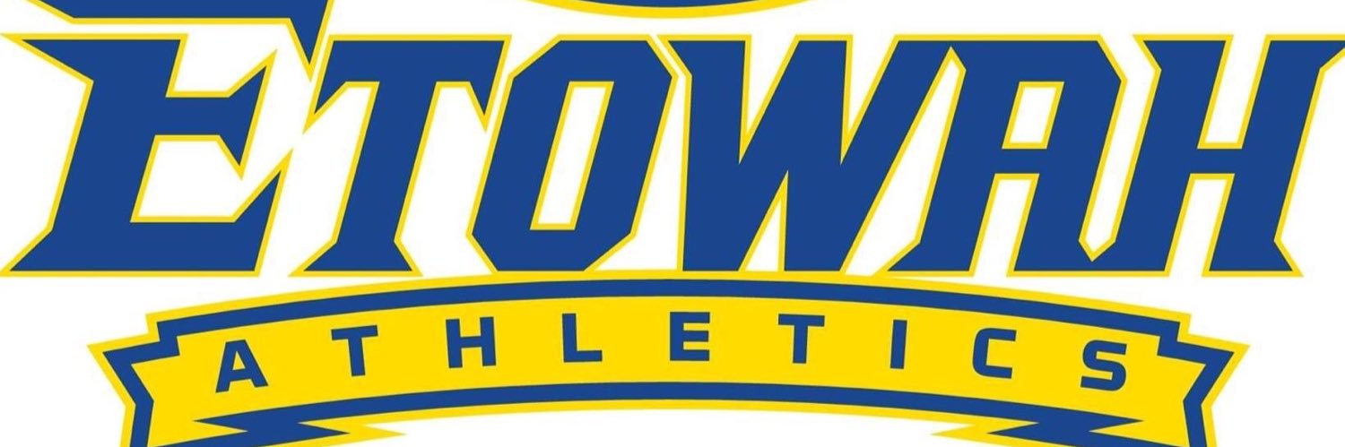 Junior Eagles Basketball banner