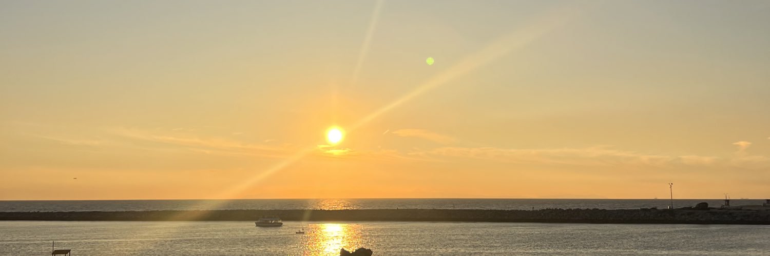 naideliinn_'s profile banner image