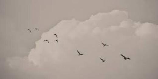 Shaddad1985's profile banner image
