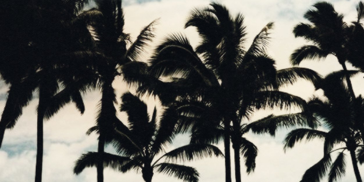 thgdivergent___'s profile banner image