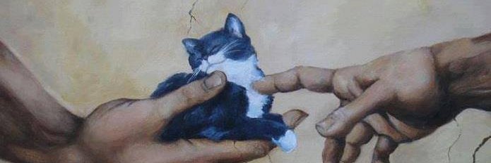 pyg / Framasoft banner