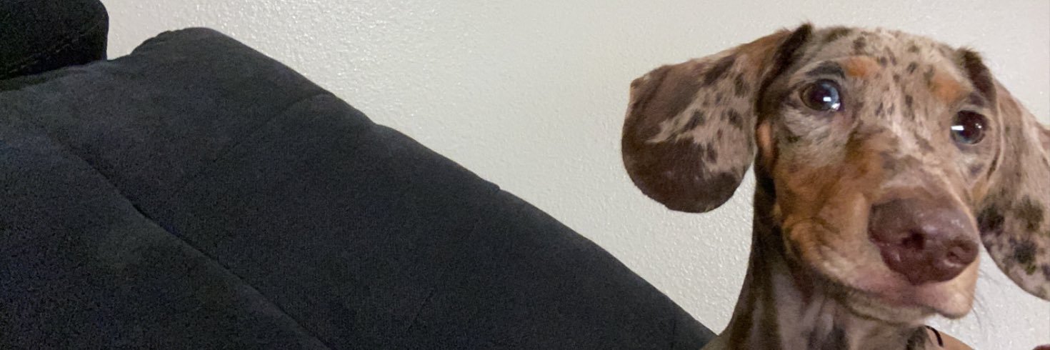 jennn__ay's profile banner image