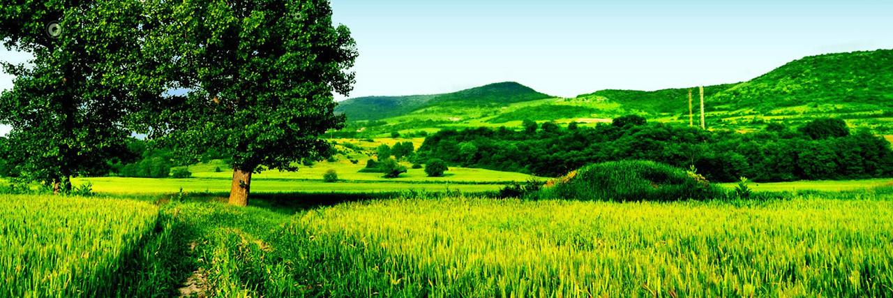 Nisha banner
