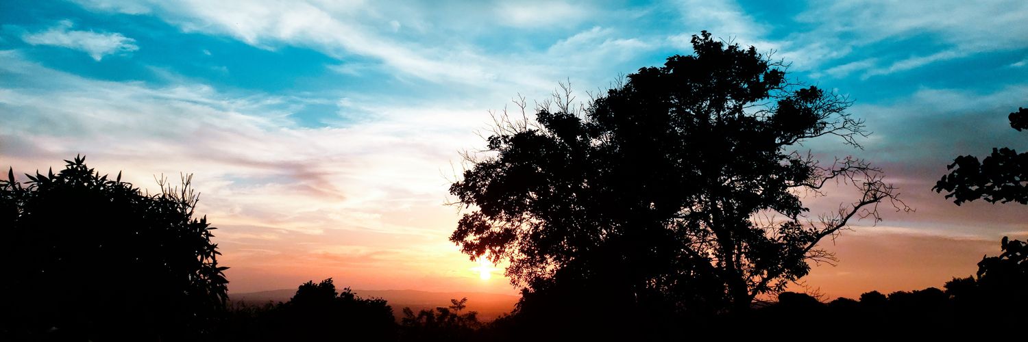 LuzCellyRuiz's profile banner image