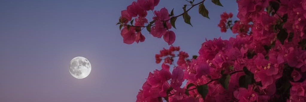 da3y_6's profile banner image
