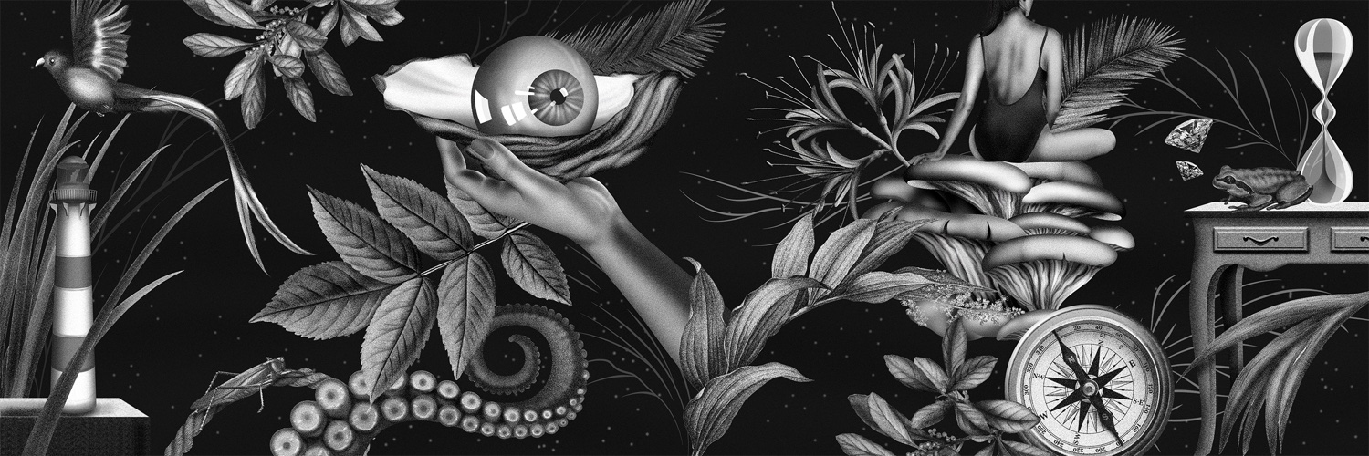 sheehij's profile banner image