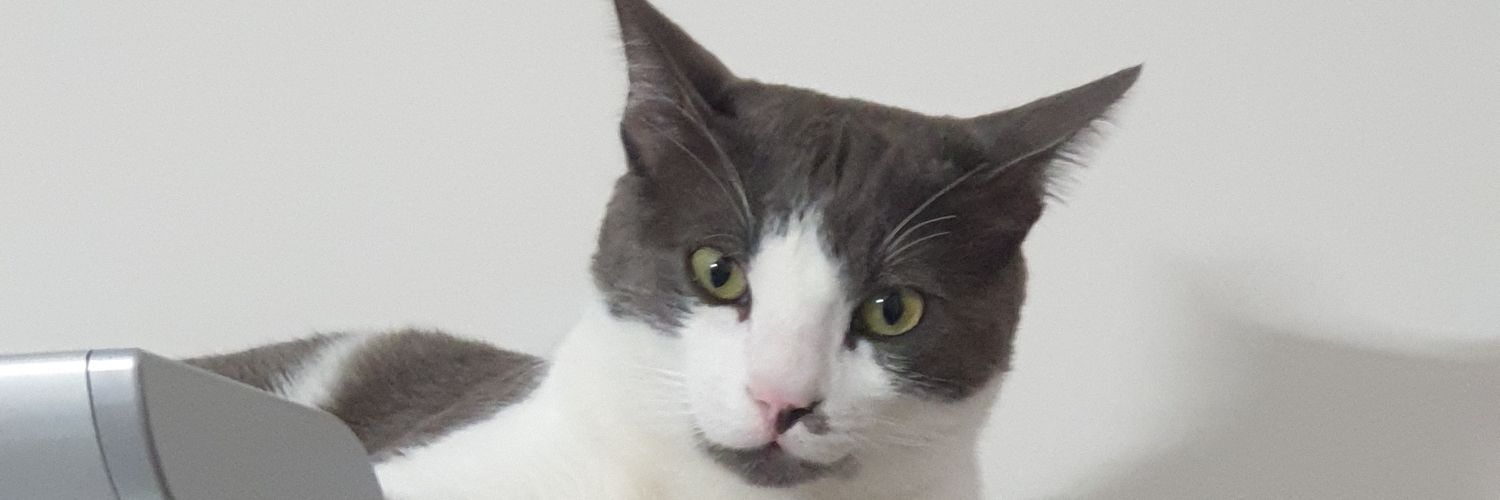 honvolc's profile banner image