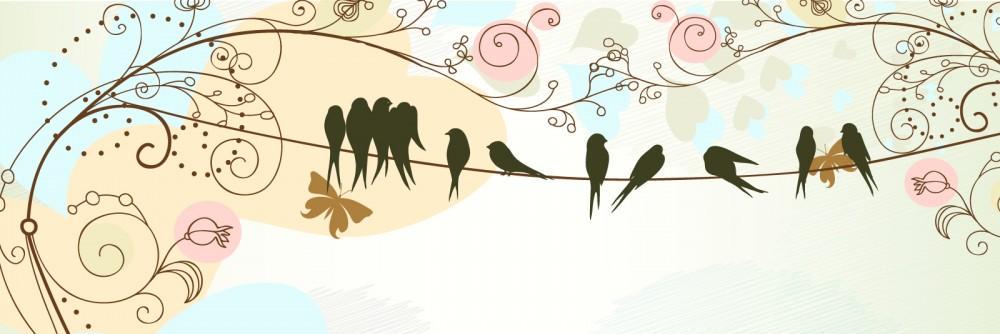 camilasimoni's profile banner image