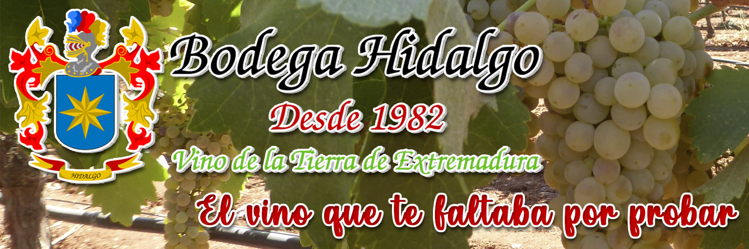 Bodega Hidalgo (@BodegaHidalgo) / Posts / X