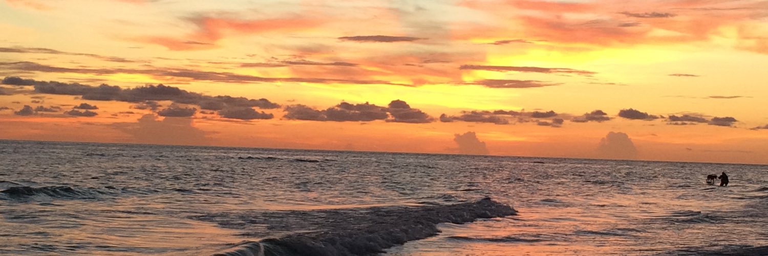 Sarahbroedel98's profile banner image