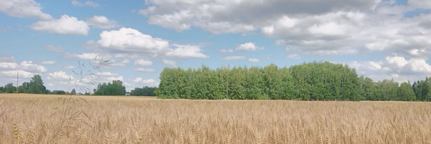Tokira 🇺🇦 banner